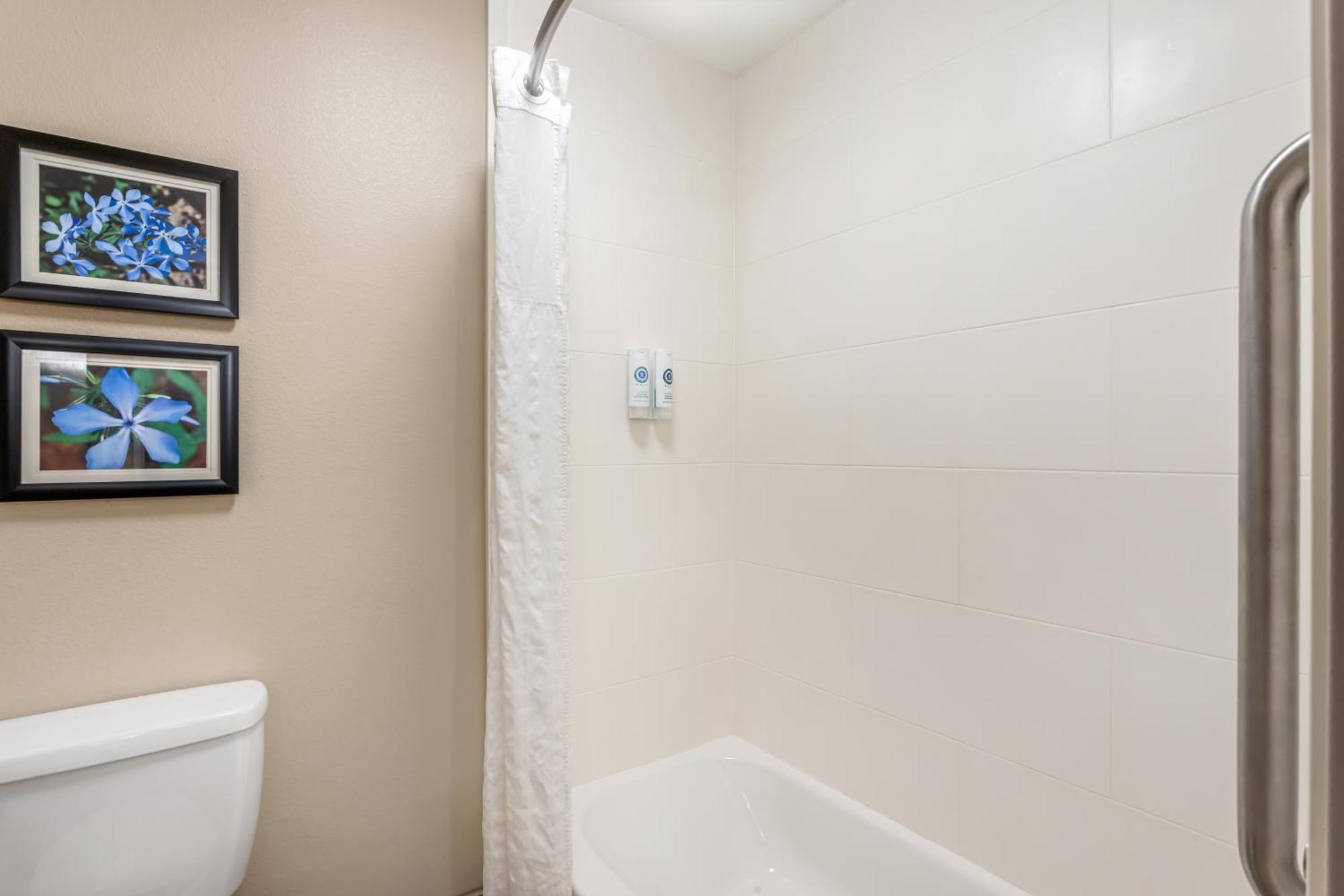 Comfort Inn & Suites Conway Εξωτερικό φωτογραφία