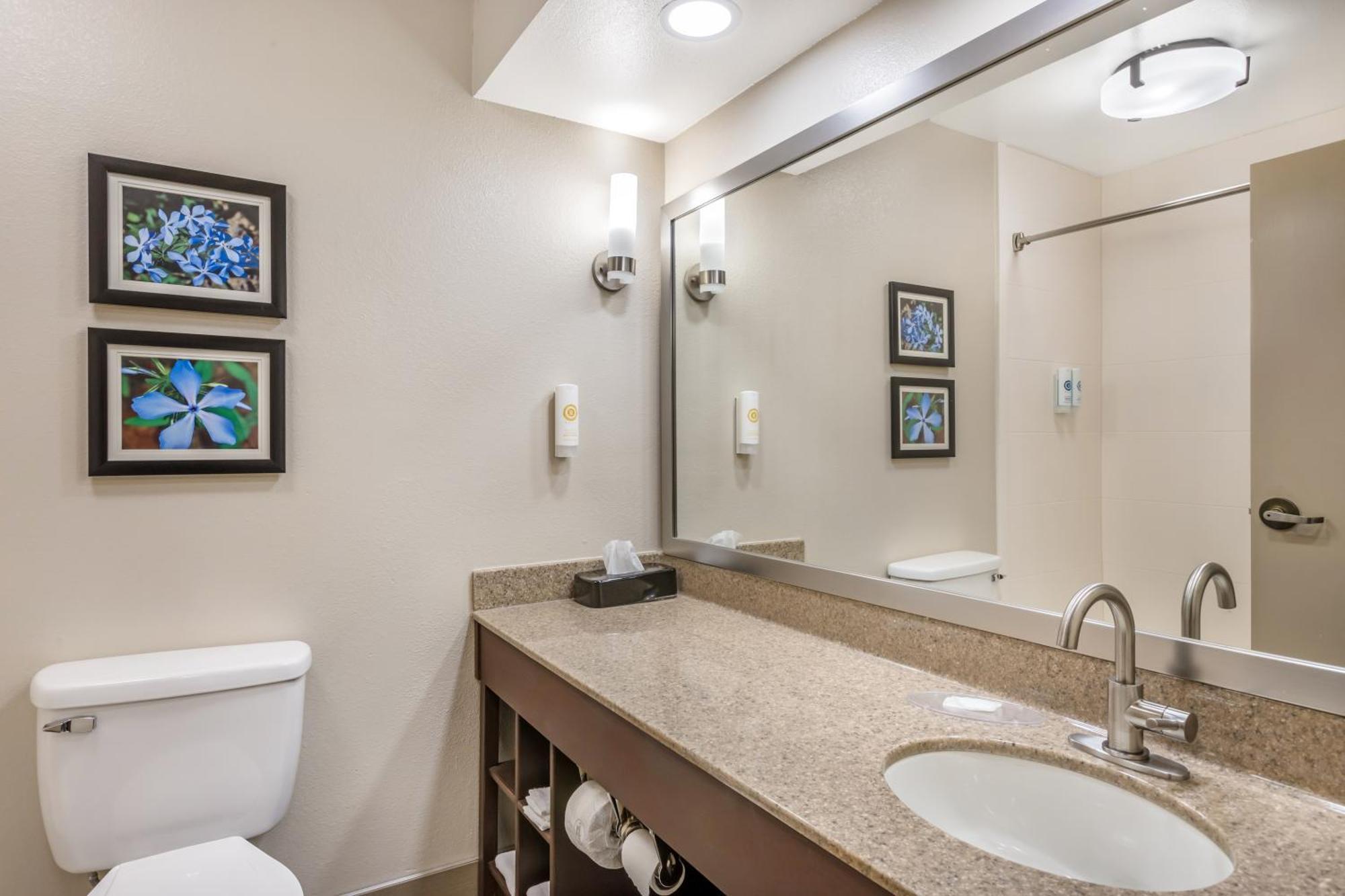 Comfort Inn & Suites Conway Εξωτερικό φωτογραφία